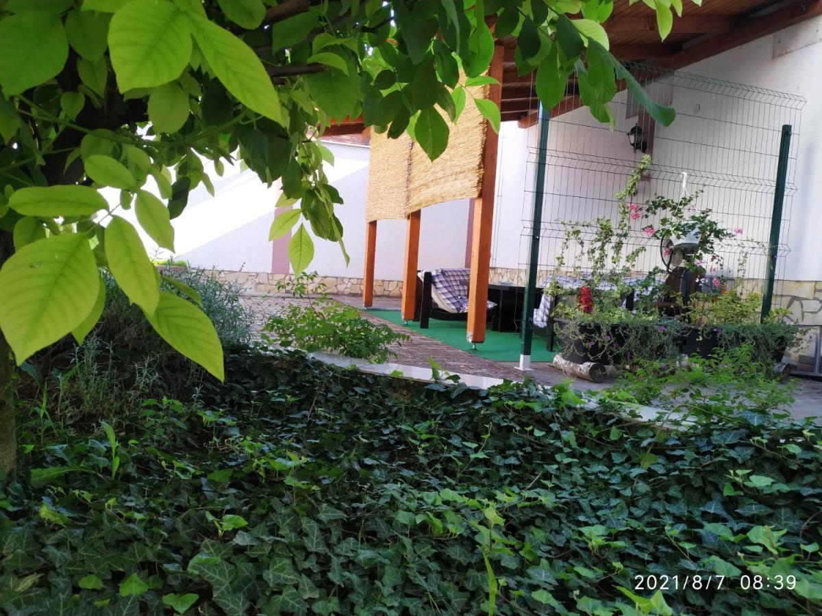Apartman Tia オシエク エクステリア 写真
